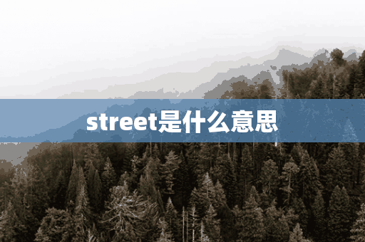 street是什么意思